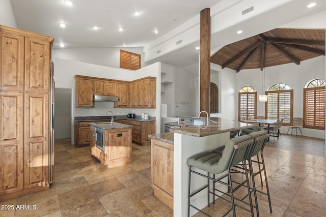 kitchen featuring a kitchen island with sink, a sink, dark stone countertops, under cabinet range hood, and a kitchen breakfast bar