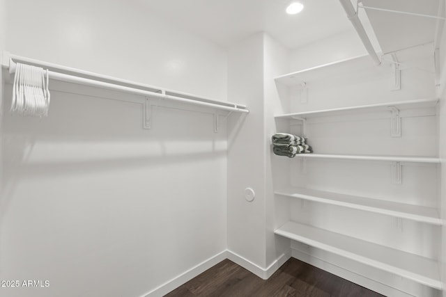 walk in closet featuring dark wood-type flooring