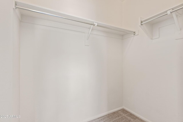 2725 E Mine Creek Rd Unit 1149, Phoenix, AZ 85024 - spacious closet featuring carpet