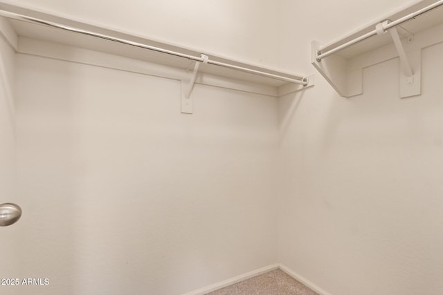 2725 E Mine Creek Rd Unit 1149, Phoenix, AZ 85024 - walk in closet with carpet flooring