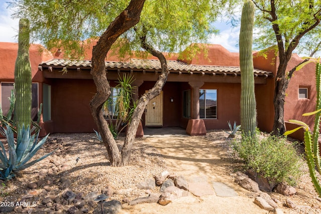 view of front of house with a patio, stucco siding, and a tiled roof