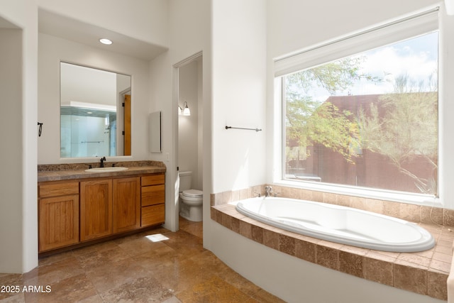 bathroom with vanity, toilet, and a bath
