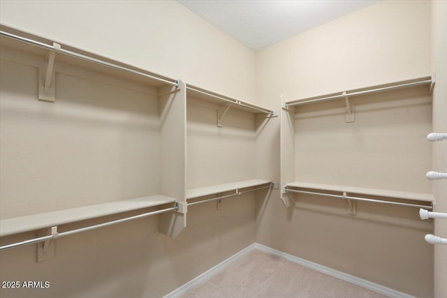 walk in closet featuring carpet