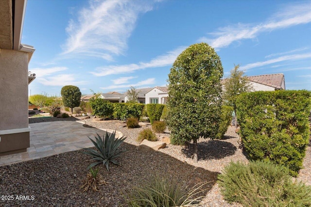 view of yard featuring a patio