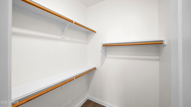 spacious closet with wood-type flooring