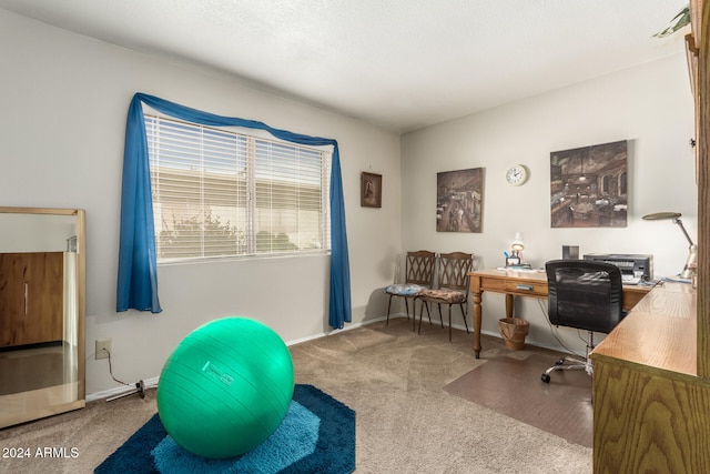 office area featuring carpet floors