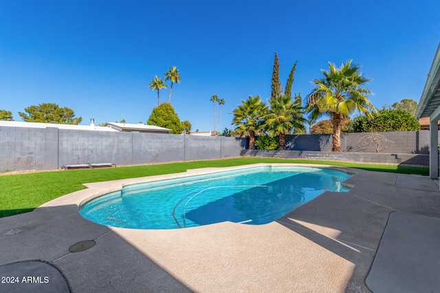 view of swimming pool with a patio and a lawn