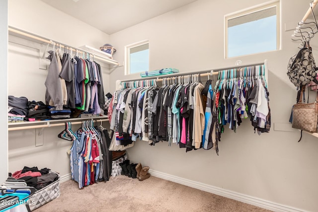 spacious closet featuring carpet