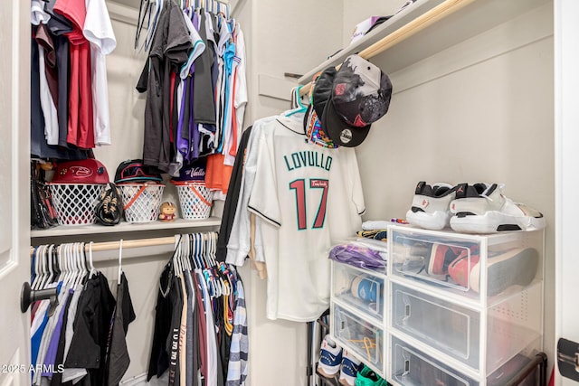 view of spacious closet