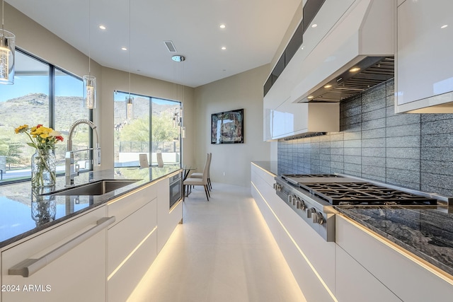 kitchen with decorative backsplash, custom range hood, stainless steel appliances, sink, and white cabinetry