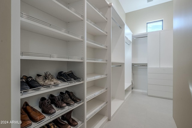 view of spacious closet