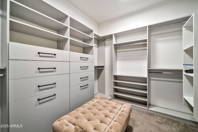 spacious closet with carpet