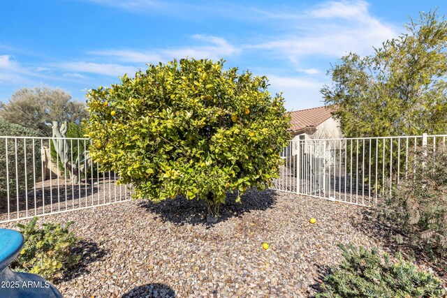 view of yard with fence