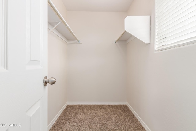 spacious closet with carpet floors