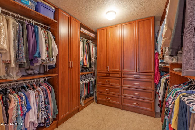 walk in closet with light carpet