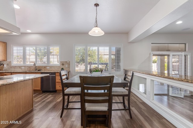 dining area with dark hardwood / wood-style floors, sink, and a wealth of natural light