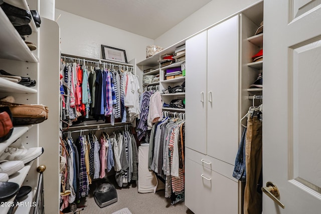 19700 N 76th St Unit 1124, Scottsdale, AZ 85255 - spacious closet with carpet