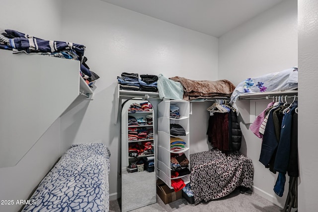 spacious closet featuring carpet