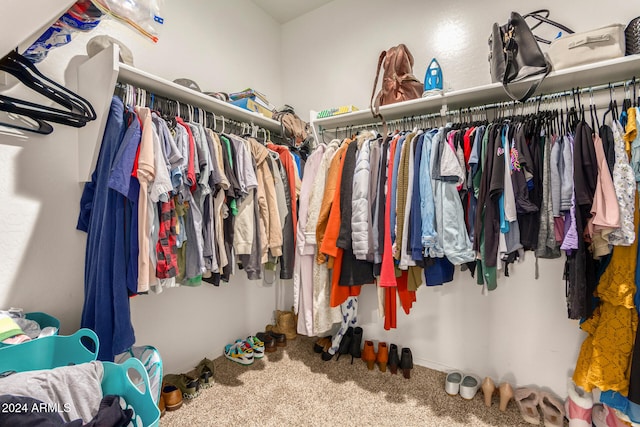 walk in closet featuring carpet flooring