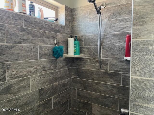1067 N Jacobs Rd, Saint David, AZ 85630 - bathroom featuring tiled shower