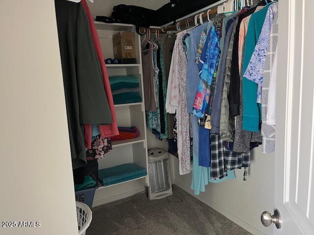 1067 N Jacobs Rd, Saint David, AZ 85630 - walk in closet featuring carpet flooring