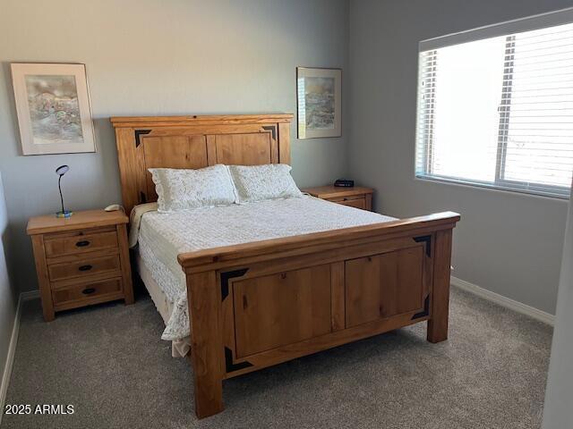 1067 N Jacobs Rd, Saint David, AZ 85630 - bedroom featuring carpet flooring and baseboards