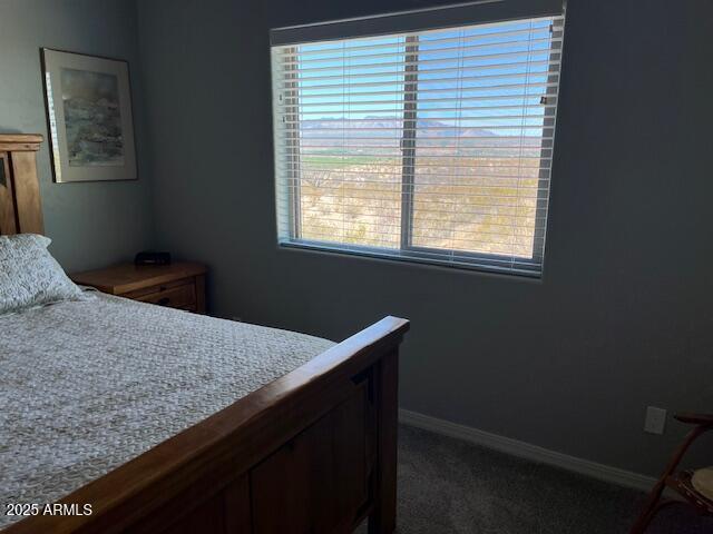 1067 N Jacobs Rd, Saint David, AZ 85630 - bedroom with multiple windows, dark colored carpet, and baseboards