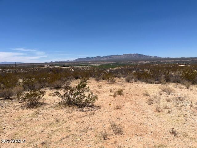 1067 N Jacobs Rd, Saint David, AZ 85630 - mountain view