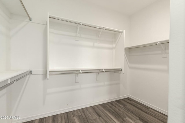 spacious closet with dark wood-type flooring