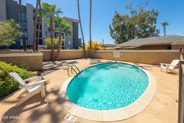 view of pool featuring a patio