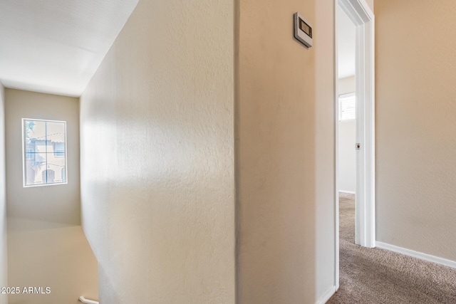 9 N 87th Ln N, Tolleson, AZ 85353 - hallway with carpet, plenty of natural light, and baseboards