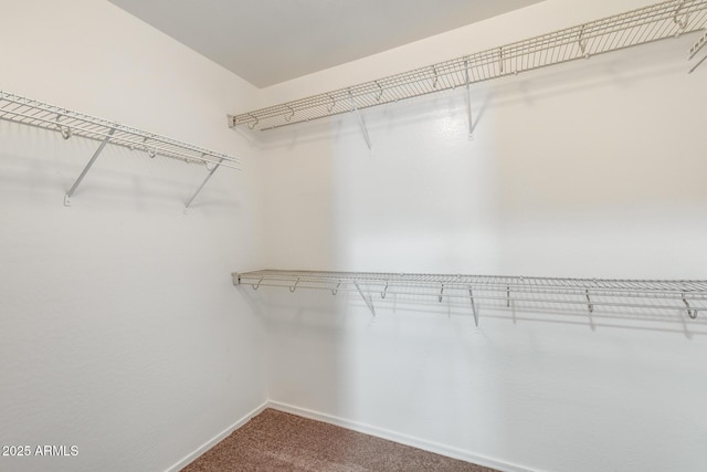 9 N 87th Ln N, Tolleson, AZ 85353 - spacious closet featuring carpet floors