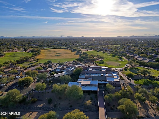 bird's eye view