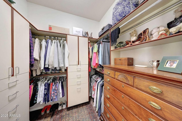 view of walk in closet