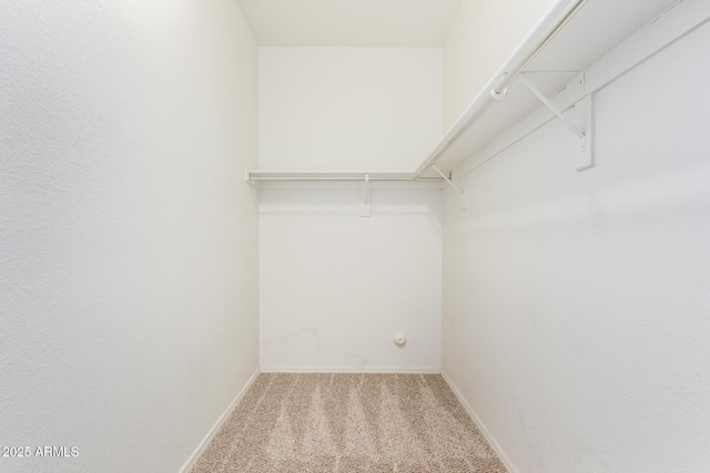 walk in closet with carpet