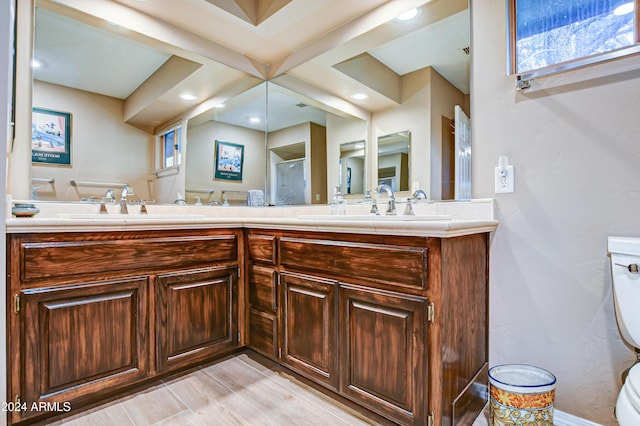 bathroom with vanity, toilet, and walk in shower