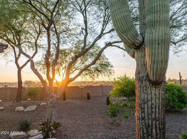 view of yard at dusk