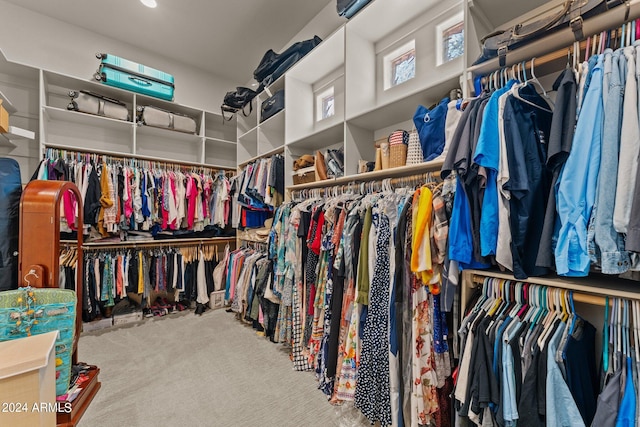 spacious closet featuring carpet floors