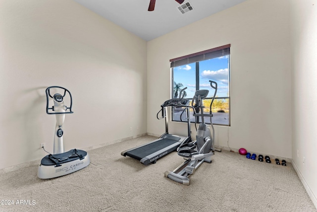 workout room featuring ceiling fan and carpet flooring