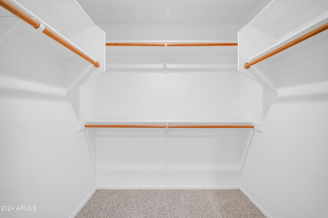 spacious closet featuring carpet floors