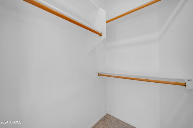 walk in closet featuring carpet