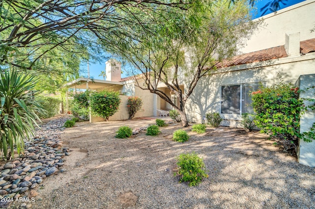 view of yard featuring a patio