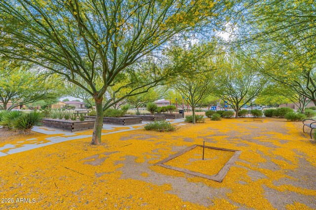 6636 E Via Arroyo Largo, Tucson, AZ 85756