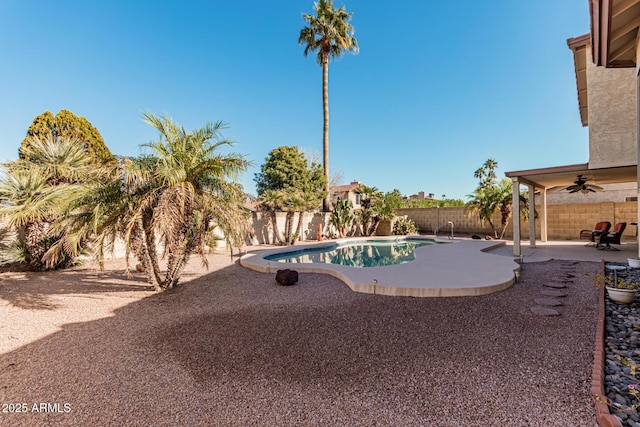 view of pool with ceiling fan and a patio area