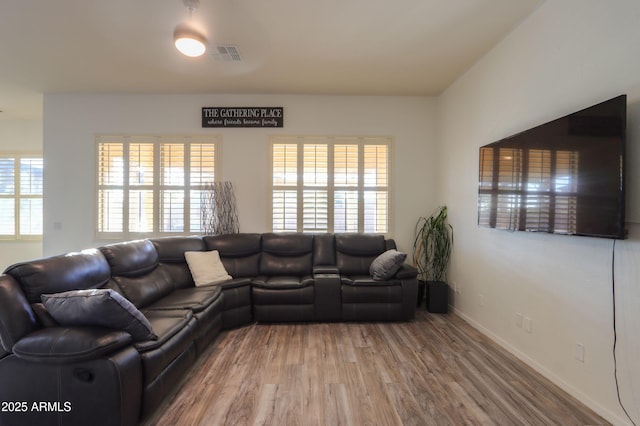 living room featuring a healthy amount of sunlight and wood-type flooring