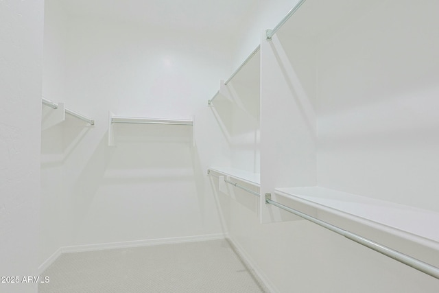 spacious closet featuring carpet flooring