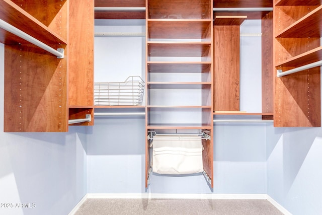 walk in closet with carpet floors