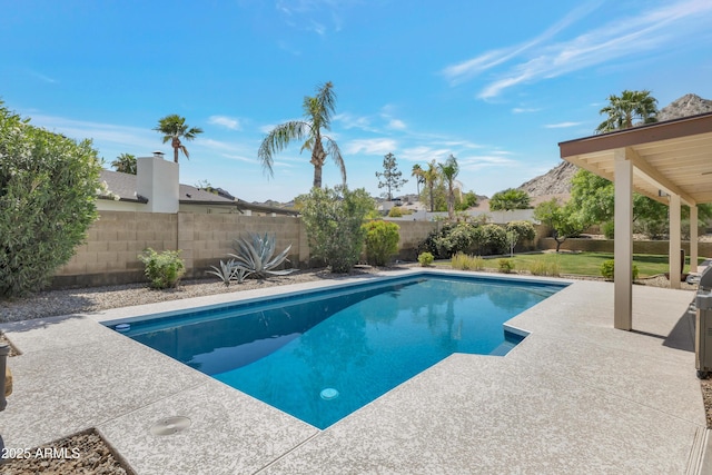 view of pool featuring a patio area, a fenced backyard, and a fenced in pool