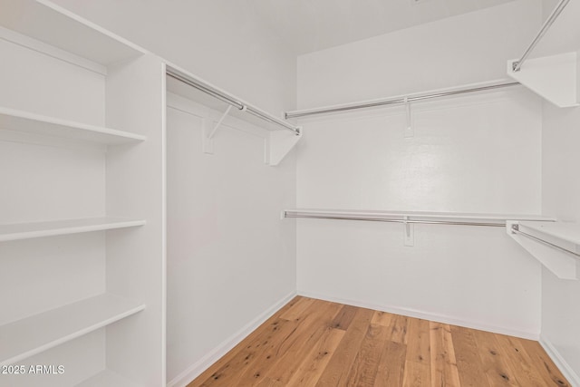 spacious closet with light wood-type flooring