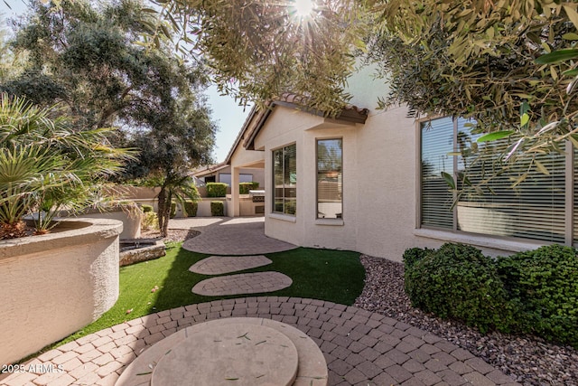 view of yard with a patio area